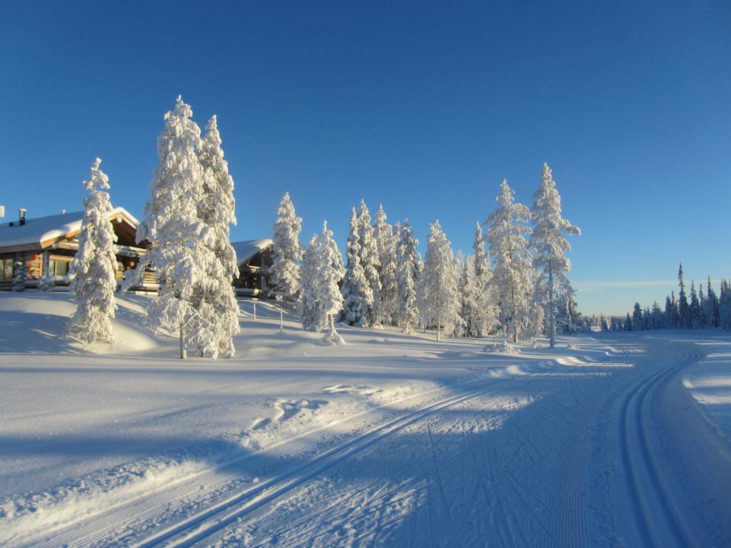 Rukakaiku Cottages Стая снимка